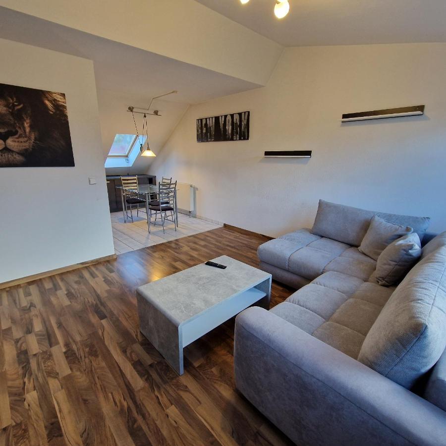 Dm Hotels & Apartments - Apartment Dosborn 5-9 Dingelstadt ภายนอก รูปภาพ